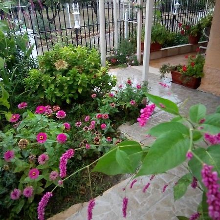 Villa Angela, Traditional Villa In The Village Agios Ioannis Peristerion Eksteriør billede